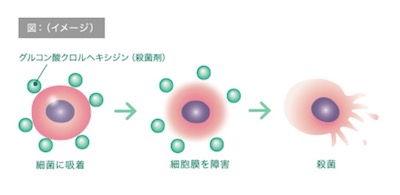 Concoolマウスウオッシュ菌をダイレクトにやっつけてくれます