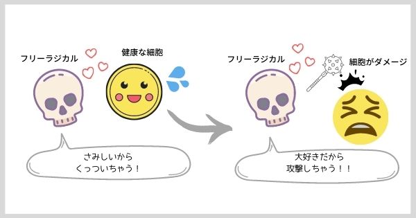 鉄剤を飲むと胃が痛くなる原因はフリーラジカル