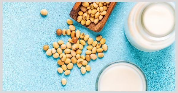 鉄剤をやめたい人に:大豆由来のフェリチン鉄のメリット